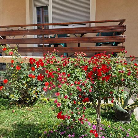 Guesthouse Irac Тузла Екстериор снимка