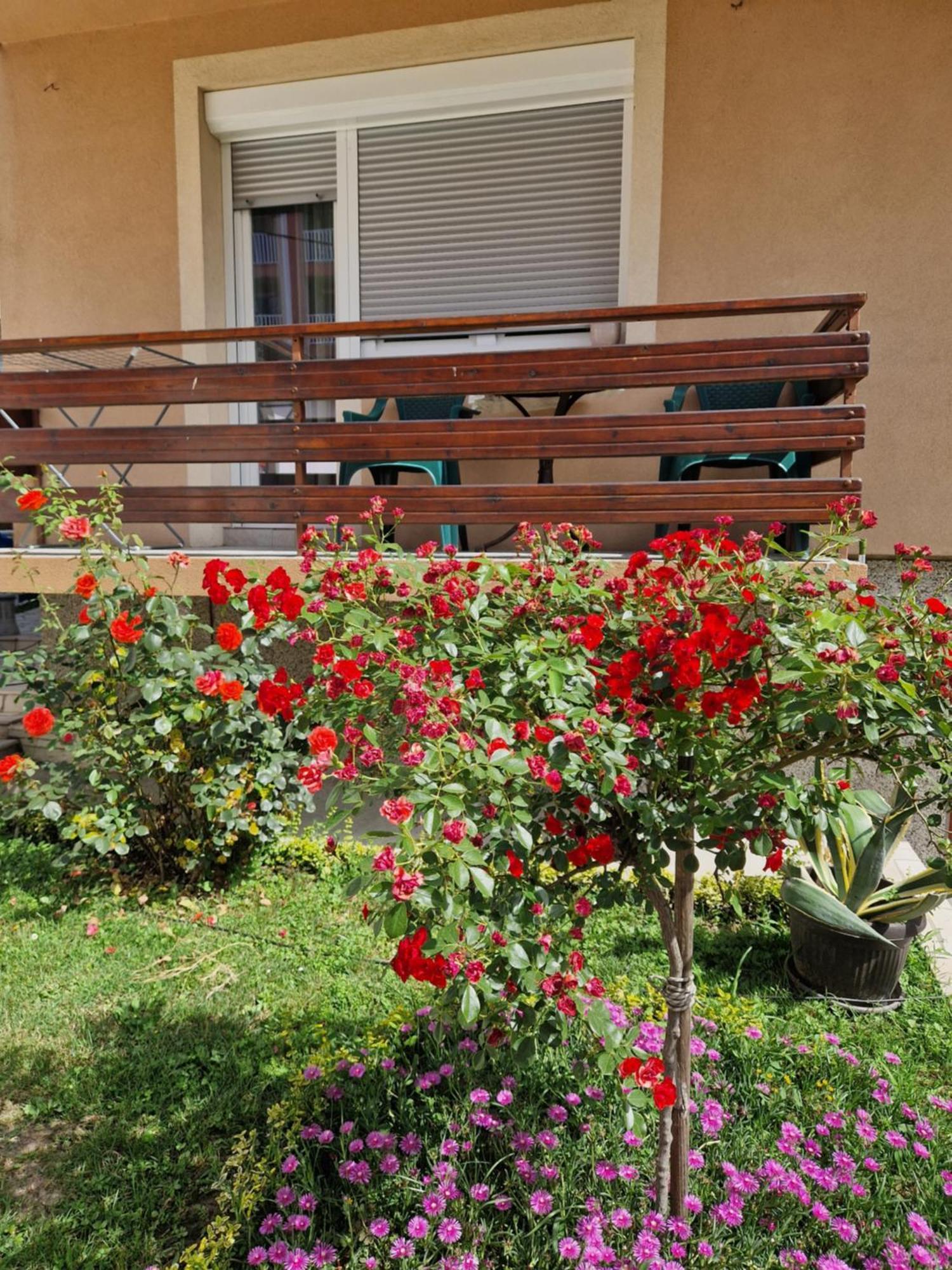 Guesthouse Irac Тузла Екстериор снимка